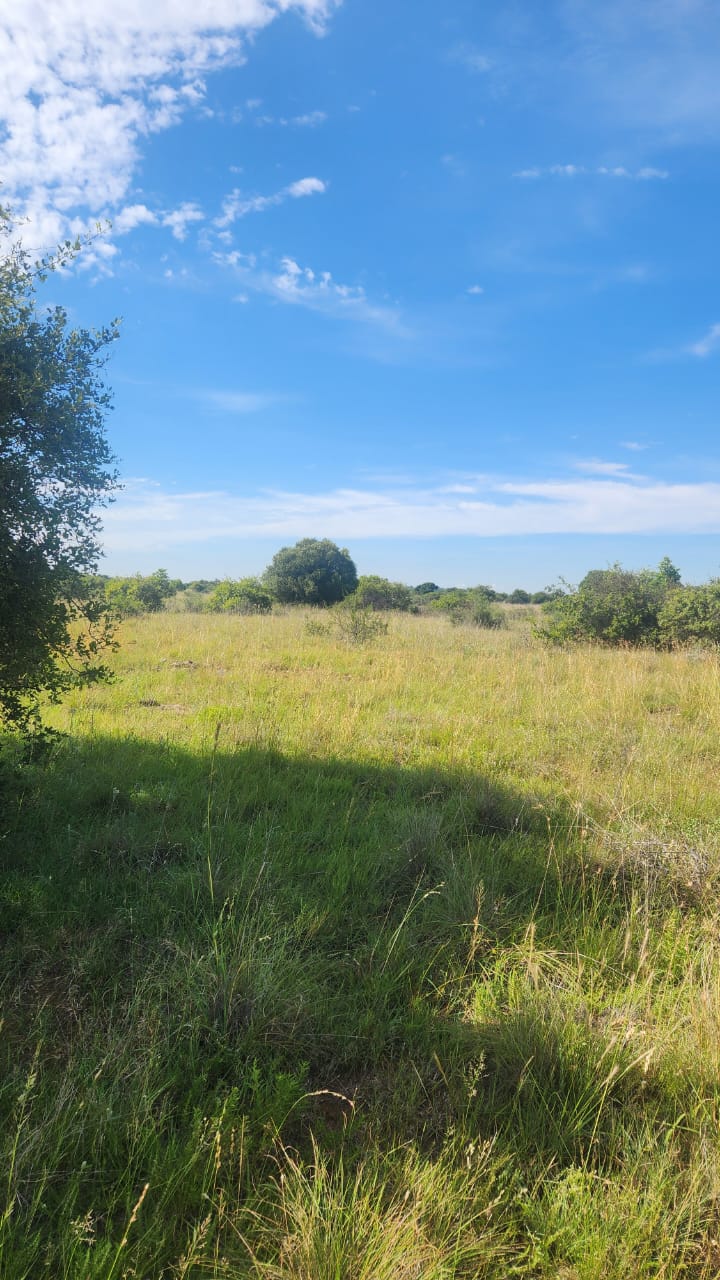 Commercial Property for Sale in Lichtenburg Rural North West